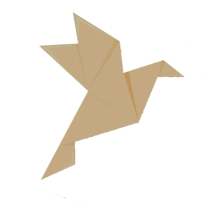 Logo WP Origami